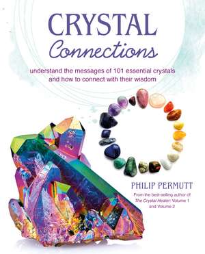 Crystal Connections: Understand the messages of 101 essential crystals and how to connect with their wisdom de Philip Permutt