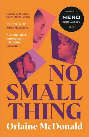 No Small Thing de Orlaine McDonald