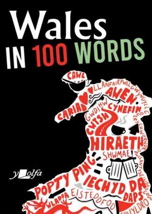 Wales in 100 Words de Garmon Gruffudd