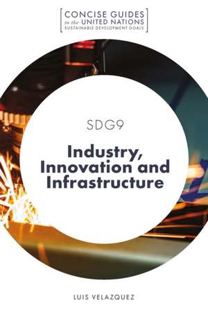 SDG9 – Industry, Innovation and Infrastructure de Luis Velazquez