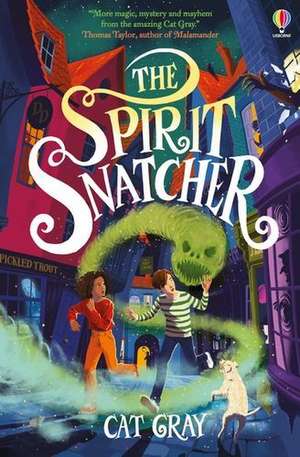 The Spirit Snatcher de Cat Gray