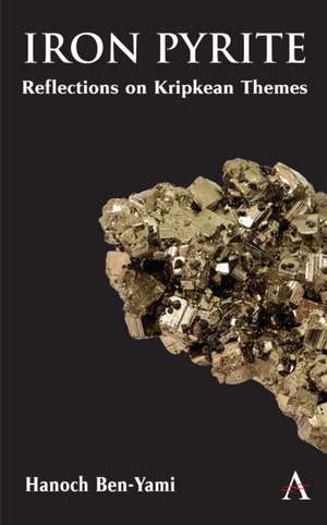 Iron Pyrite de Hanoch Ben-Yami