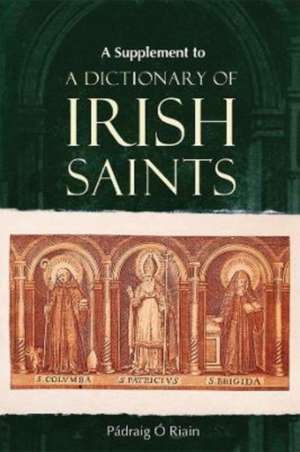 A Supplement to a Dictionary of Irish Saints de Padraig O Riain