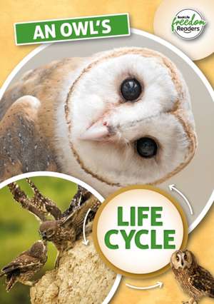 An Owl's Life Cycle de Madeline Tyler