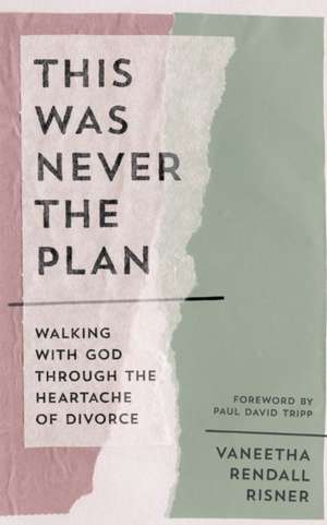 This Was Never the Plan de Vaneetha Rendall Risner