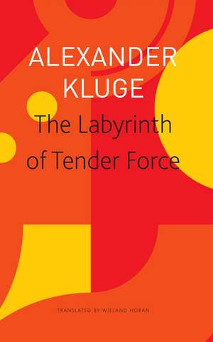 The Labyrinth of Tender Force: 166 Love Stories de Alexander Kluge