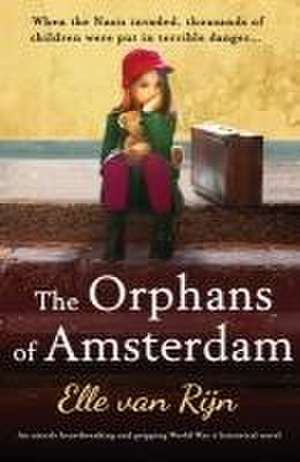 The Orphans of Amsterdam de Elle van Rijn