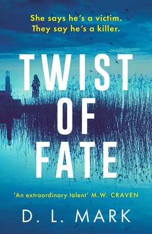 Twist of Fate de D. L. Mark