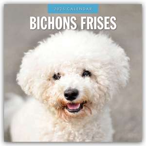 Bichon Frisés - Bichon Frisé 2025 - 16-Monatskalender de Robin Red