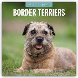 Border Terriers - Border Terrier 2025 - 16-Monatskalender de Robin Red