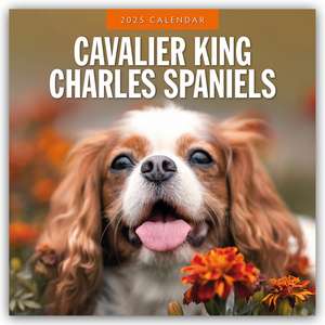 Cavalier King Charles Spaniels - Cavalier King Charles Spaniel 2025 - 16-Monatskalender de Robin Red