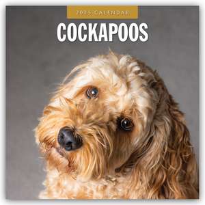 Cockapoos - Cockapoo 2025 - 16-Monatskalender de Robin Red