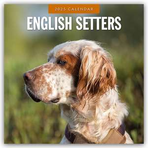 English Setters - Englisch Setter 2025 - 16-Monatskalender de Robin Red