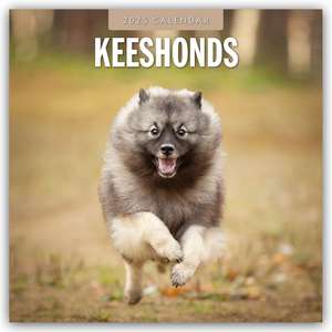 Keeshonds - Wolfsspitz 2025 - 16-Monatskalender de Robin Red