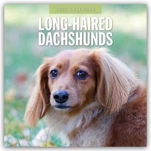 Long-Haired Dachshunds - Langhaardackel 2025 - 16-Monatskalender de Robin Red