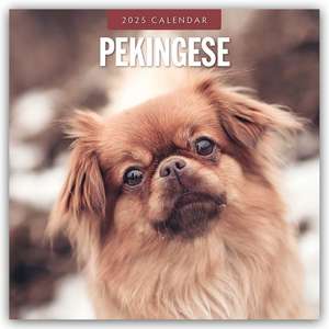 Pekingese - Pekinese - Peking Palasthund 2025 - 16-Monatskalender de Robin Red