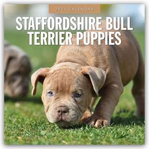 Staffordshire Bull Terrier Puppies - Staffordshire Bullterrier Welpen 2025 - 16-Monatskalender de Robin Red