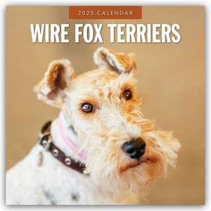 Wire Fox Terriers - Drahthaar Foxterrier 2025 - 16-Monatskalender de Robin Red