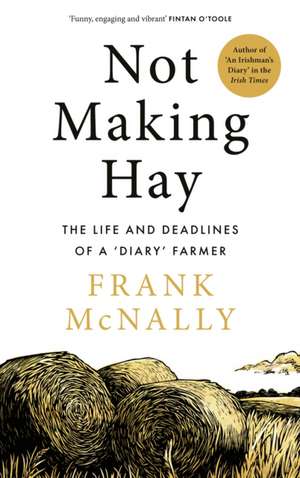 Not Making Hay de Frank Mcnally