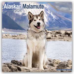 Alaskan Malamute 2025 - 16-Monatskalender de Avonside Publishing Ltd