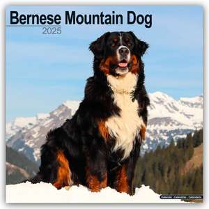 Bernese Mountain Dog - Berner Sennenhund 2025 - 16-Monatskalender de Avonside Publishing Ltd.