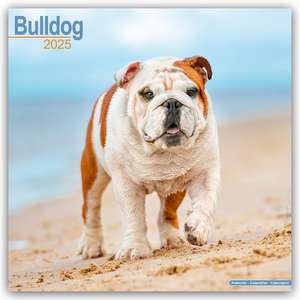 Avonside Publishing Ltd: Bulldog - Bulldoggen 2025 - 16-Mona