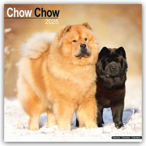 Chow Chow 2025 - 16-Monatskalender de Avonside Publishing Ltd