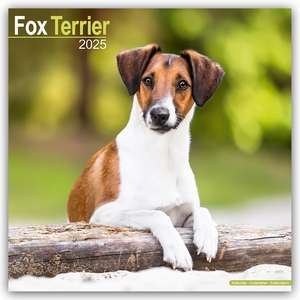 Fox Terrier - Foxterrier 2025 - 16-Monatskalender de Avonside Publishing Ltd