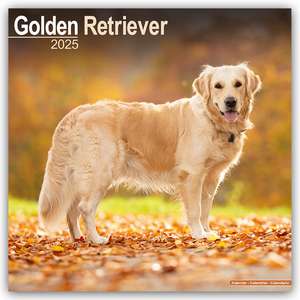 Golden Retriever 2025 - 16-Monatskalender de Avonside Publishing Ltd