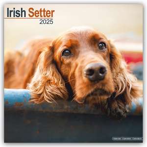 Avonside Publishing Ltd: Irish Setter - Irish Setter 2025 -