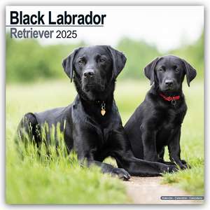 Black Labrador Retriever - Schwarzer Labrador 2025 - 16-Monatskalender de Avonside Publishing Ltd