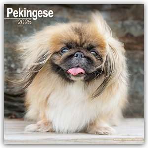 Pekingese - Pekinesen 2025 - 16-Monatskalender de Avonside Publishing Ltd