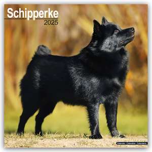 Schipperke 2025 - 16-Monatskalender de Avonside Publishing Ltd