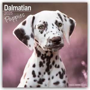 Dalmatian Puppies - Dalmatiner Welpen 2025 - 16-Monatskalender de Avonside Publishing Ltd.