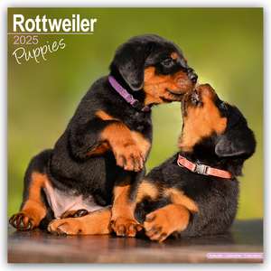 Avonside Publishing Ltd: Rottweiler Puppies - Rottweiler Wel