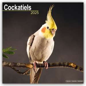 Cockatiels - Nymphensittiche 2025 - 16-Monatskalender de Avonside Publishing Ltd