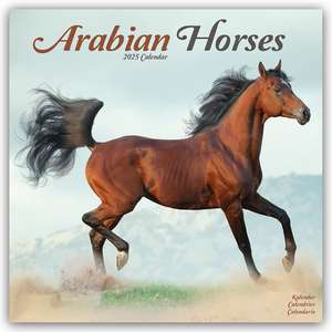 Avonside Publishing Ltd: Arabians - Araber - Araber Pferde 2