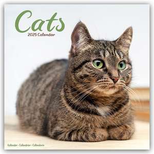 Avonside Publishing: Cats - Katzen 2025 - 16-Monatskalender