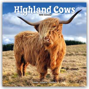 Higland Cows - Hochland Rinder 2025 - 16-Monatskalender de Avonside Publishing Ltd