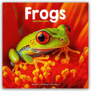 Frogs - Frösche 2025 - 16-Monatskalender de Avonside Publishing Ltd