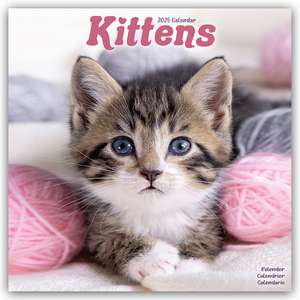 Kittens - Kätzchen 2025 - 16-Monatskalender de Avonside Publishing Ltd