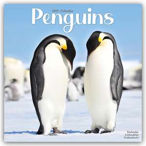 Penguins - Pinguine 2025 - 16-Monatskalender de Avonside Publishing Ltd