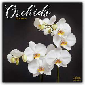 Avonside Publishing Ltd: Orchids - Orchideen 2025 - 16-Monat