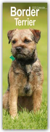 Border Terrier 2025 de Avonside Publishing Ltd