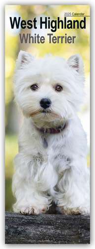 West Highland White Terrier - Westies 2025 de Avonside Publishing Ltd