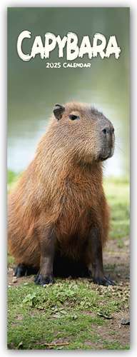 Capybara - Wasserschwein 2025 de Avonside Publishing Ltd