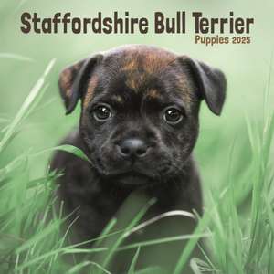 Staffordshire Bull Terrier Puppies Square Mini Calendar 2025 de Avonside Publishing Ltd