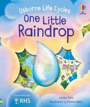 One Little Raindrop de Lesley Sims