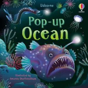 Pop-up Ocean de Lizzie Cope