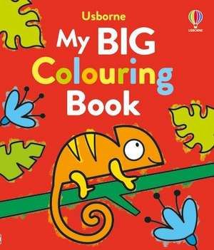 My Big Colouring Book de Kate Nolan